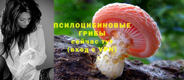 PSILOCYBIN Алексеевка