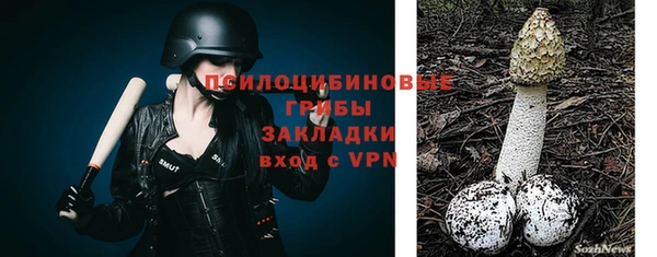 PSILOCYBIN Алексеевка