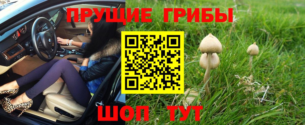 Псилоцибиновые грибы прущие грибы Еманжелинск