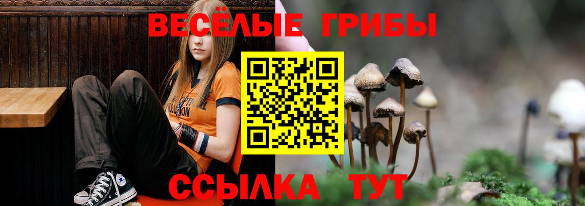 закладка  Вход с VPN  Галлюциногенные грибы Psilocybine cubensis  Еманжелинск  Псилоцибиновые грибы Psilocybine cubensis 